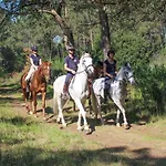 Innesposende Sports Hostal