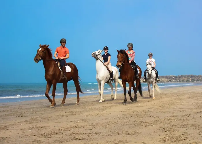 Hostel Innesposende Sports *