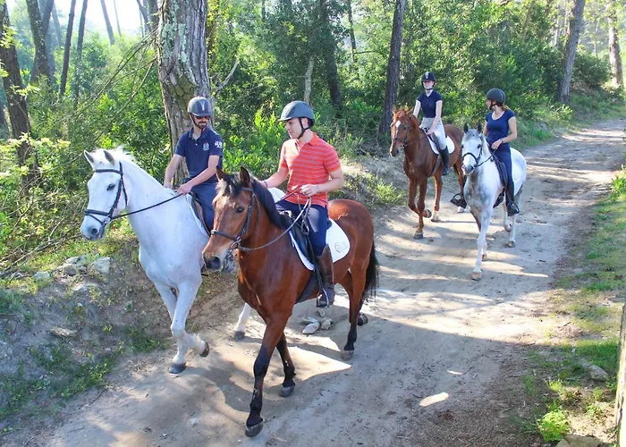 Innesposende Sports Hostel *