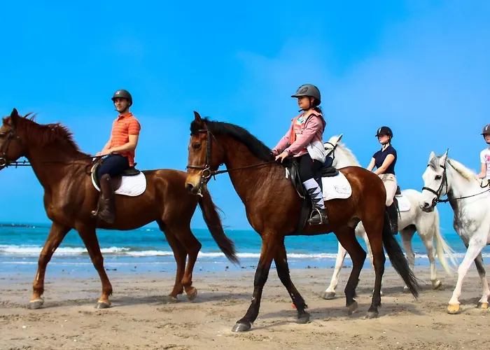 Innesposende Sports * Esposende