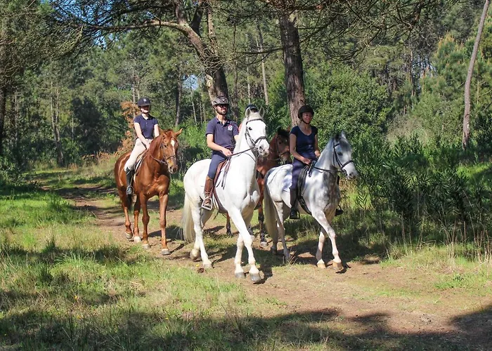 Innesposende Sports Hostel